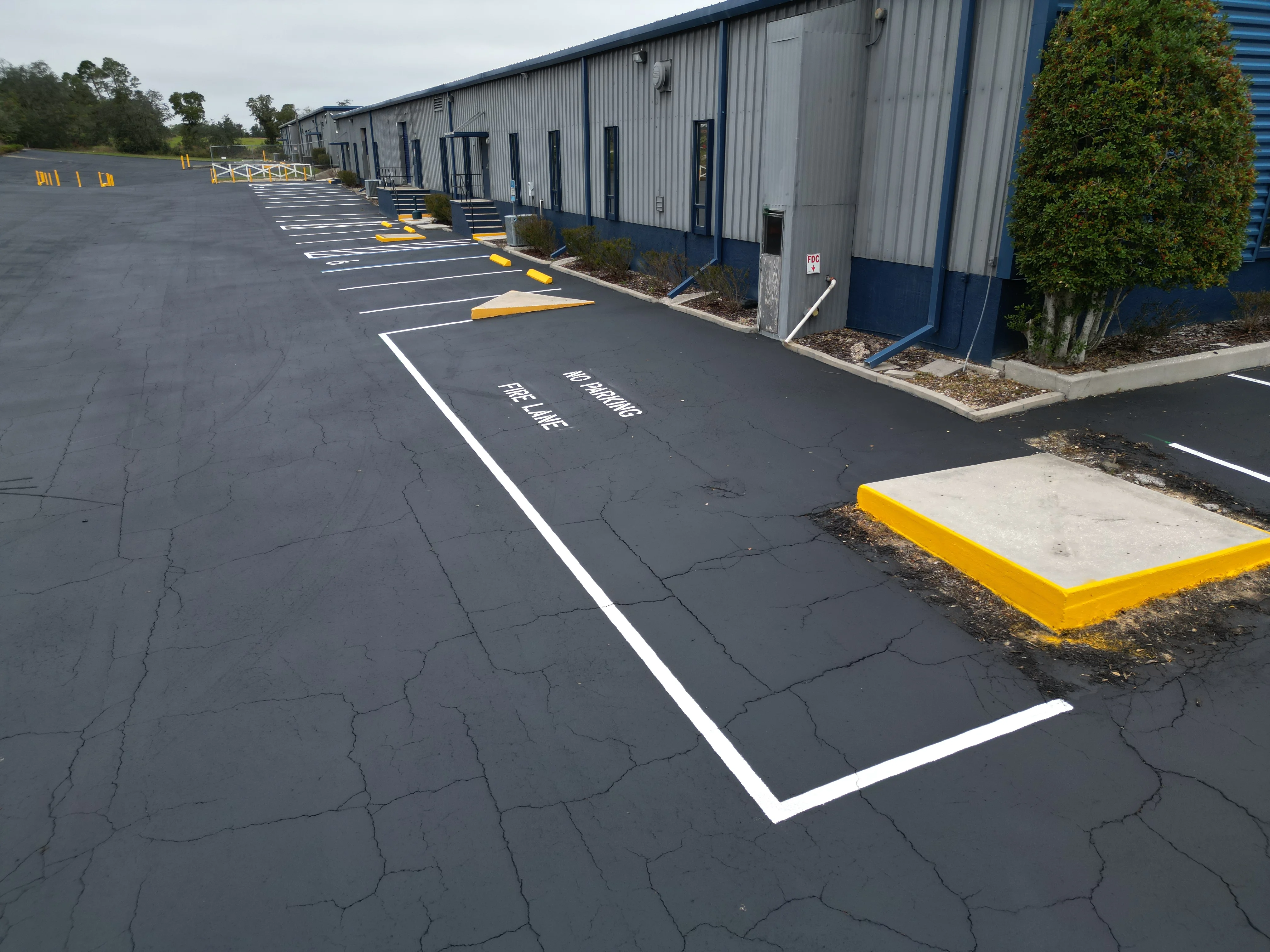 Newly striped commercial parking lot with white lines, yellow wheel stops, and sealcoated asphalt surface