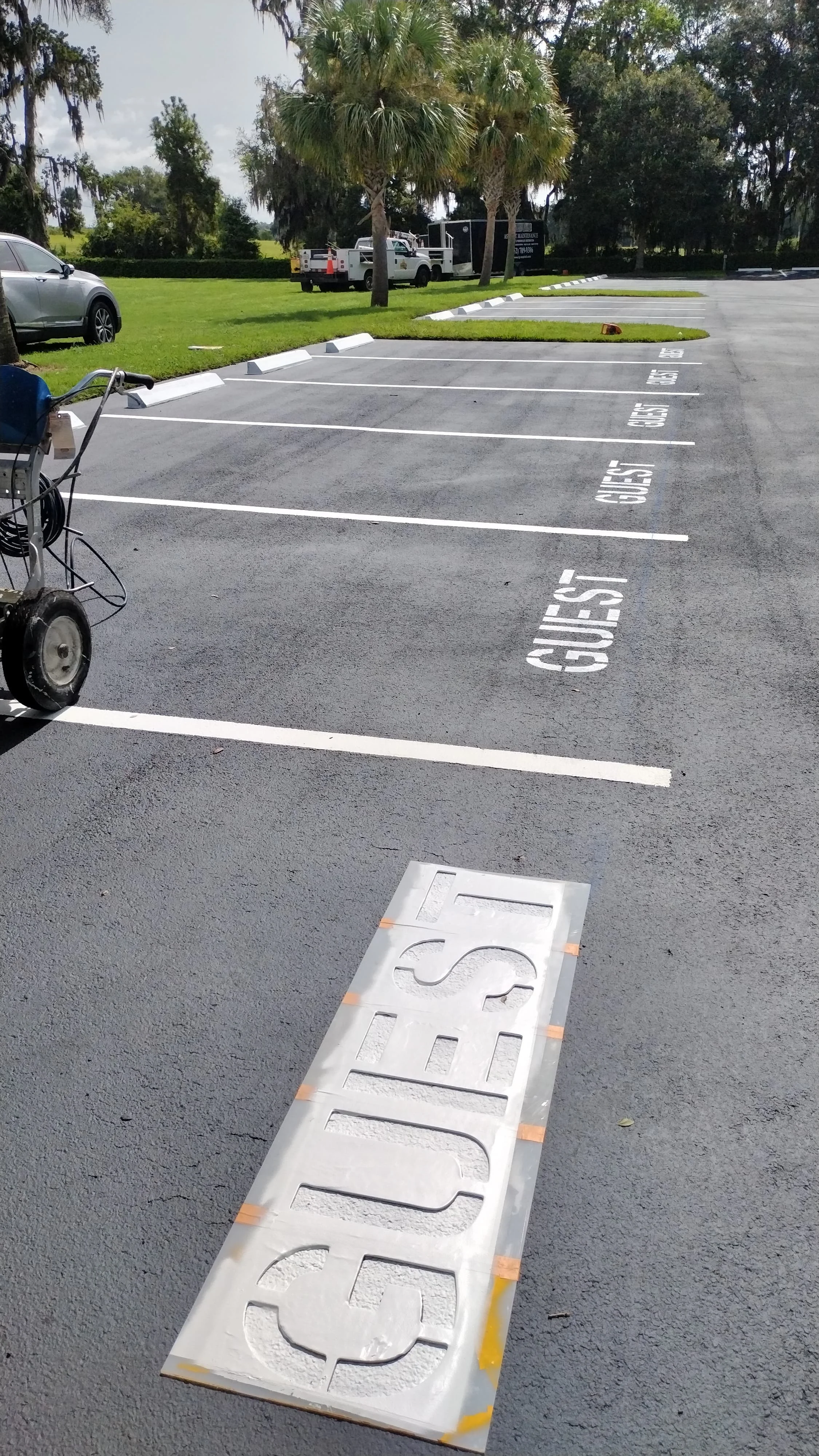 Newly striped parking lot with white lines, ADA handicapped symbols, and numbered spaces in Ocala