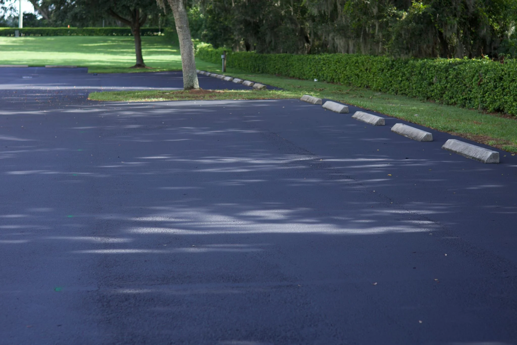 Newly paved black asphalt driveway with concrete edge curbing and mature trees