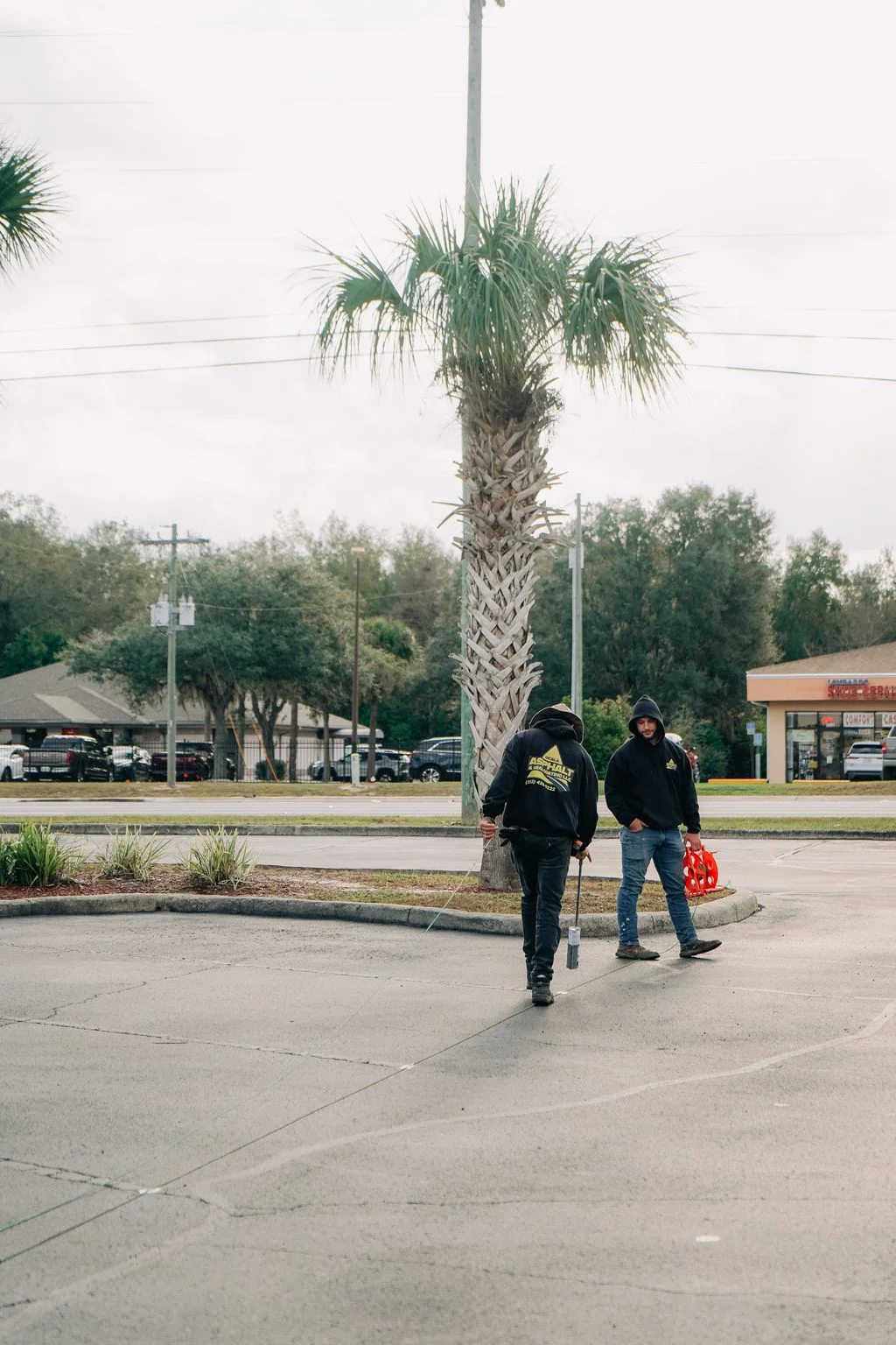 Commercial parking lot with fresh asphalt paving, concrete curb, and palm tree landscaping