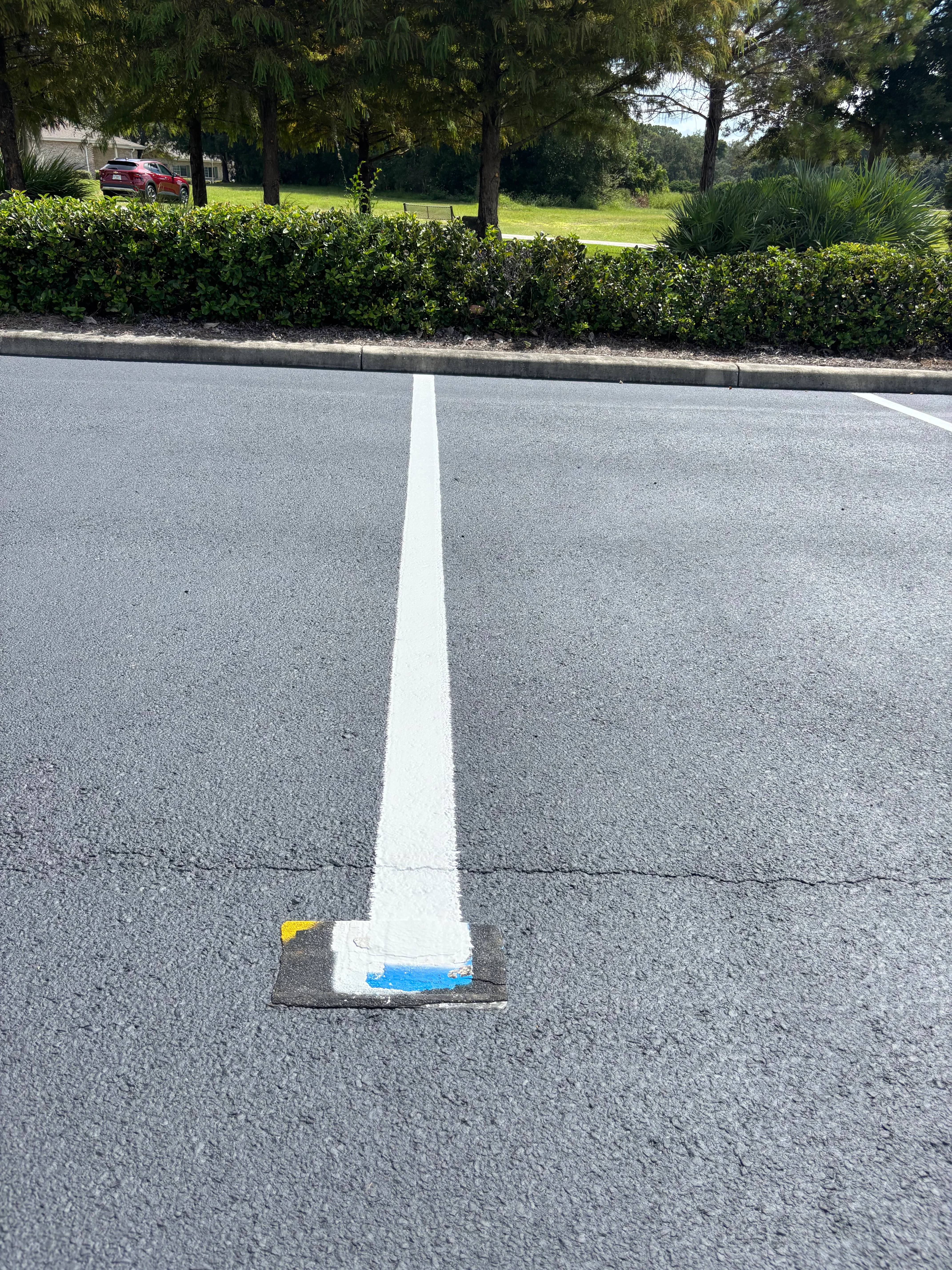 Freshly painted white center line on asphalt parking lot with concrete curb