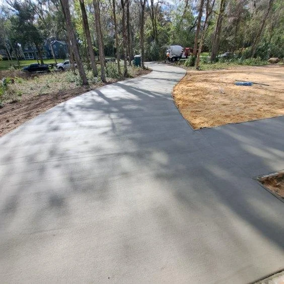 Newly paved curved asphalt driveway through wooded residential area with mature trees