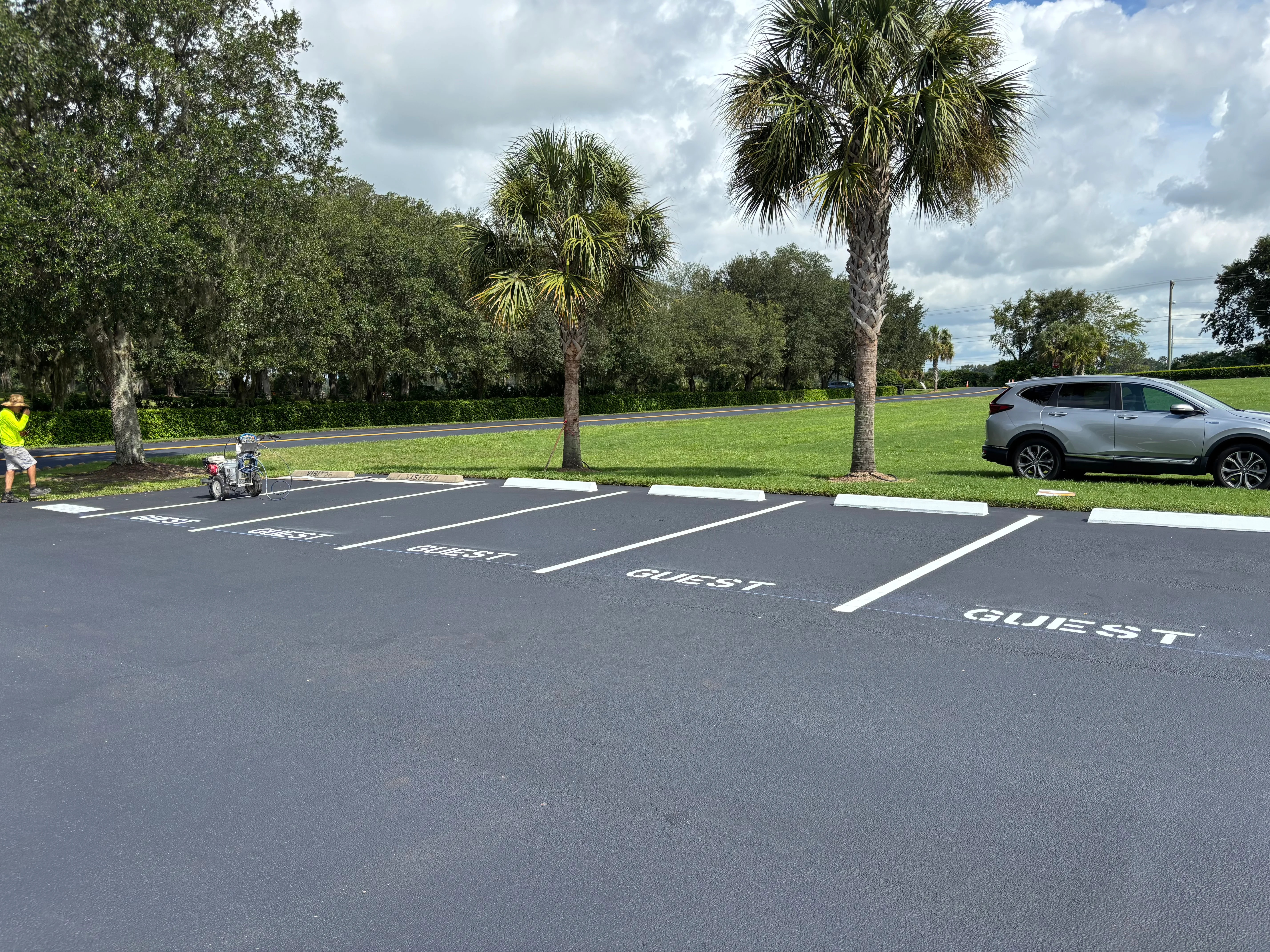 Newly paved asphalt parking lot with white striped guest parking spaces and palm trees
